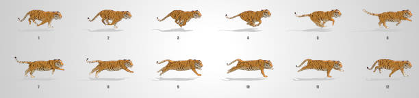 Run cycle animation Sequence Running animation frames and sprite sheet angry cat silhouette stock illustrations