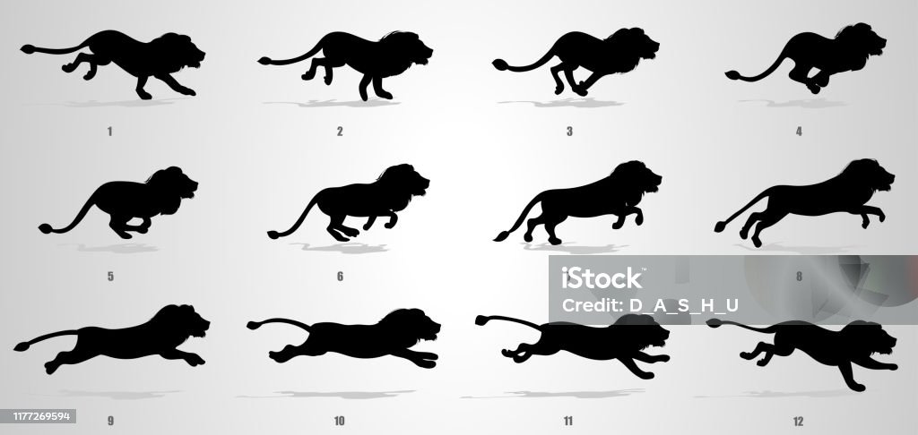 Lion Run Cycle Animation Sequence Stock Illustration - Download Image Now -  Lion - Feline, Running, In Silhouette - iStock