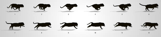 Run cycle animation Sequence Running animation frames and sprite sheet angry cat silhouette stock illustrations