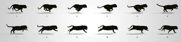Vector illustration of Run cycle animation Sequence