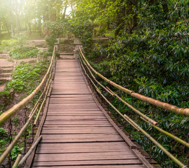 istock Suspension bridge with bamboo railing in a green summer park. 1177269790