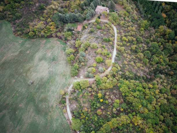 istock Umbria landscpae field from above 1177271496