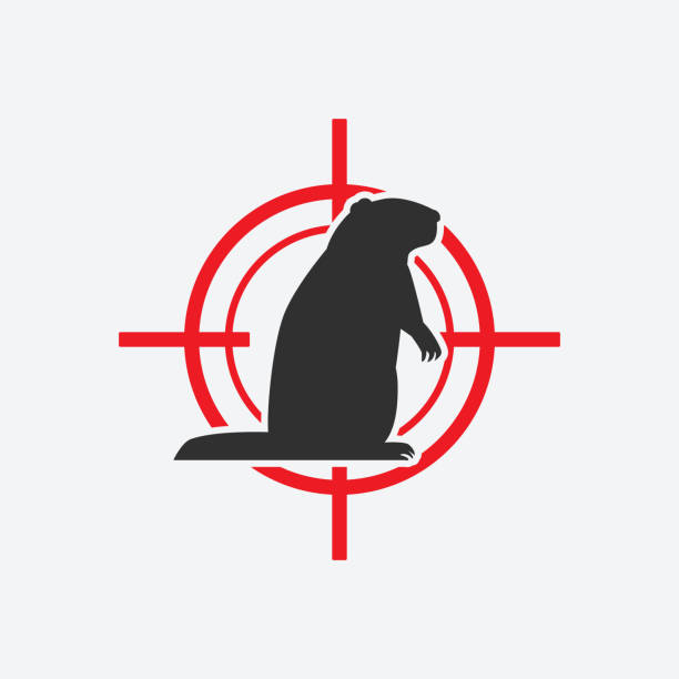 ilustraciones, imágenes clip art, dibujos animados e iconos de stock de silueta de marmota. icono de plaga animal objetivo rojo - groundhog