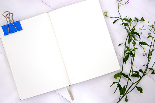 Open sketchbook with white paper and green grass on white wooden table. Empty notebook top view. Romantic flat lay with white page for message and natural foliage. Spring or summer feminine template