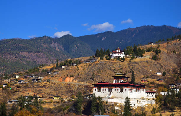istock Paro Rinpung Dzong and Museum with green paddy fields. 1177279615