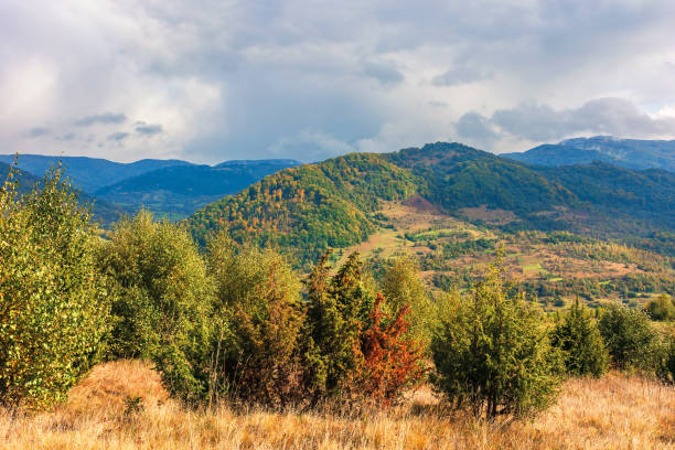 istock beautiful mountain landscape in autumn 1177281459
