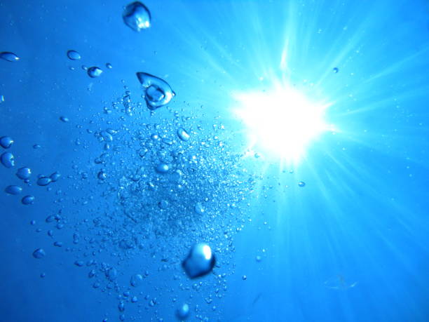 istock Under the sea scenes 1177284223