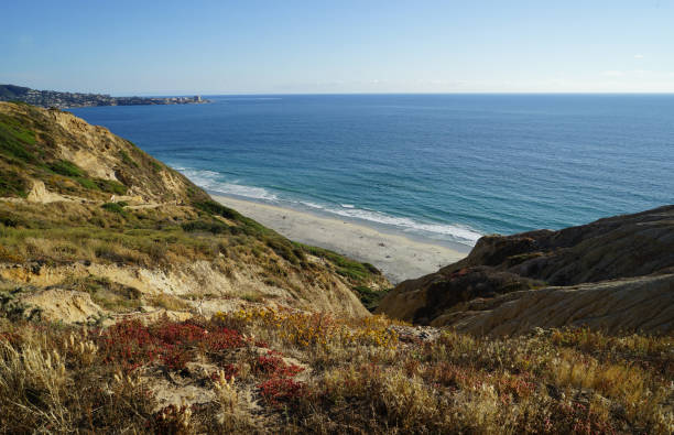 istock Secluded beach in La Jolla, California 1177286187