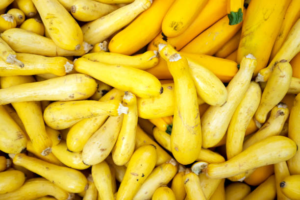 istock Squash in a farmer's market 1177288162