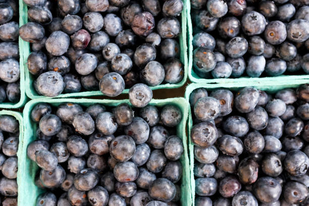 Blueberries in a farmers market stock photo