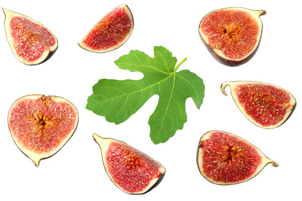 istock Fig fruits with slices isolated on white background Top view 1177292762