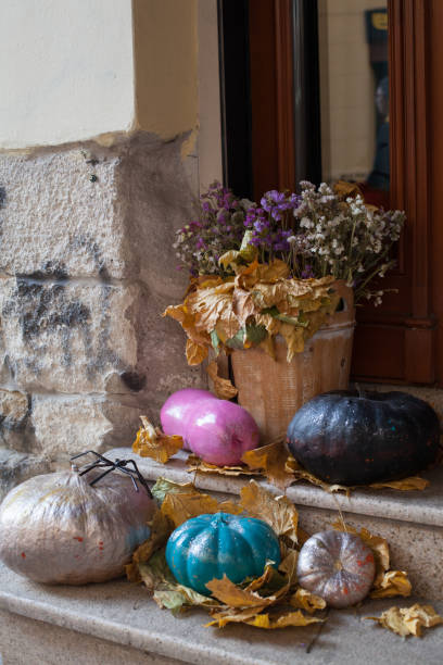 halloween dekoriert haustür mit verschiedenen farbe und form kürbisse. - front door front stoop house yellow stock-fotos und bilder