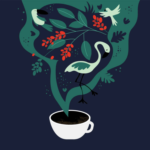 ilustraciones, imágenes clip art, dibujos animados e iconos de stock de taza de café y fantasía - coffee plant