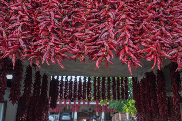 istock Strings of red peppers dry on village house 1177297660