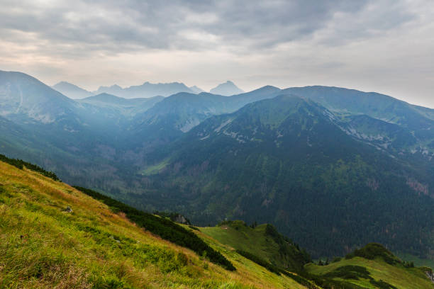 istock Mountain Valley in Tatra Mountains 1177302070