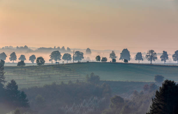 istock Fall foggy and misty sunrise landscape 1177305073
