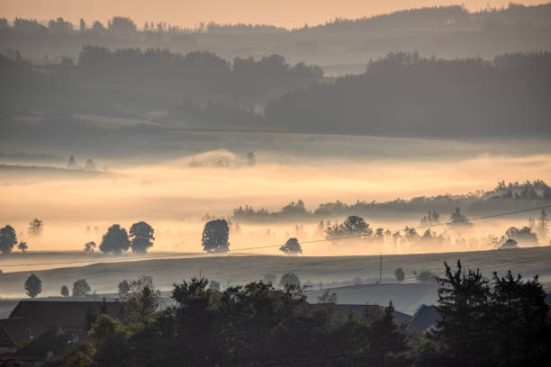 istock Fall foggy and misty sunrise landscape 1177305127