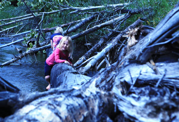 istock Young girls climbing on log 1177306501