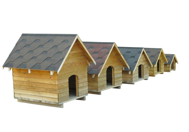 istock Modern eco friendly wooden doghouse isolated on white background 1177306809