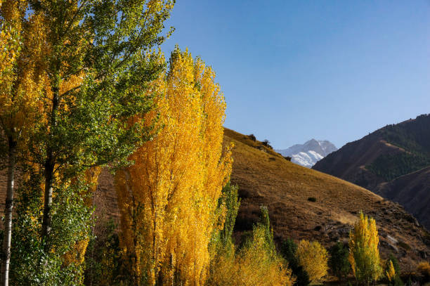 istock autumn in the mountains 1177310137