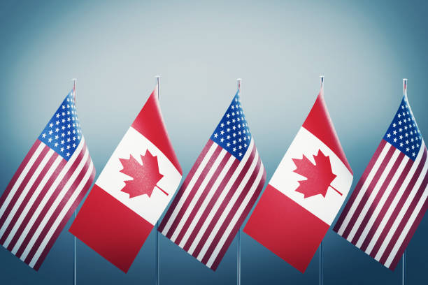 amerikanische und kanadische flaggen in einer reihe auf grauem hintergrund - canada american flag canadian culture usa stock-fotos und bilder