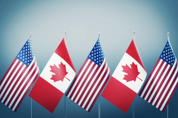 american and canadian flags in a row on grey background - canada american flag canadian culture usa imagens e fotografias de stock