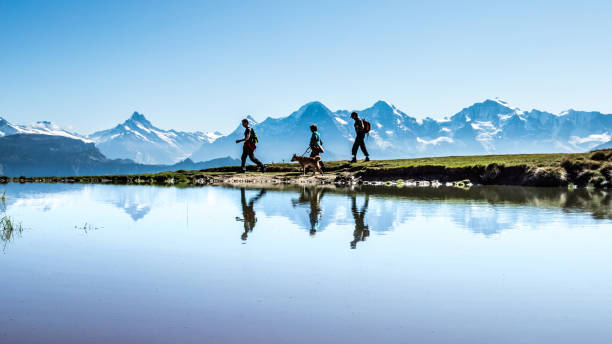three hikers with dog in front of eiger, monk and virgin, mirrored in a pond. bernese oberland, switzerland - eiger mountain swiss culture photography imagens e fotografias de stock