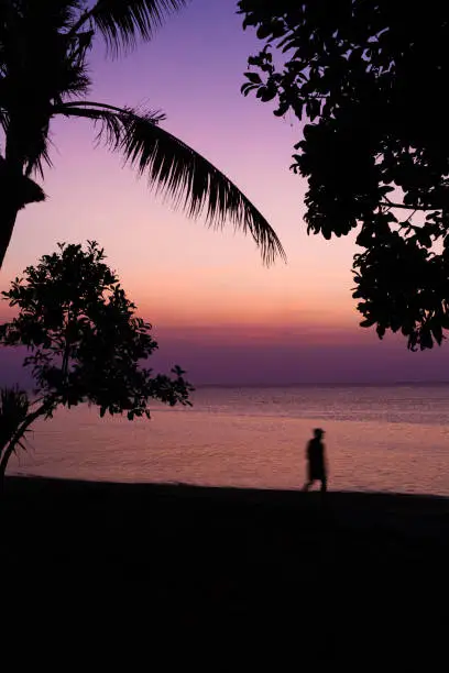 Beautiful sunset with a palmtree silhouette and ocean in Bali, pink and purple colors landscape nature person hiking