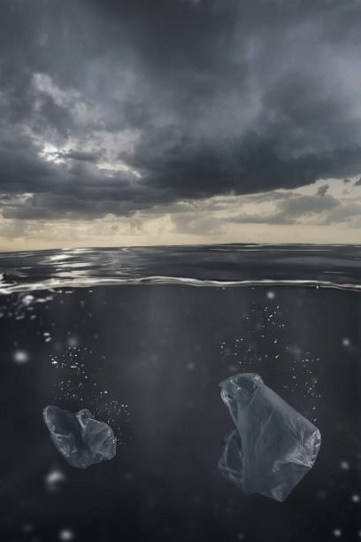 istock two plastic bags floating under water surface. Concept marine pollution 1177321184