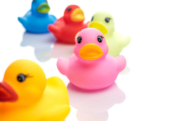 Yellow duck. Rubber toy isolated on white background.