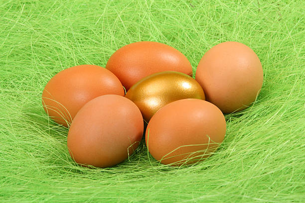 Ovos com Ovo de Ouro - fotografia de stock