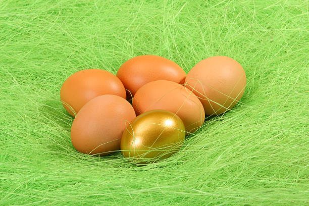 Ovos com Ovo de Ouro - fotografia de stock