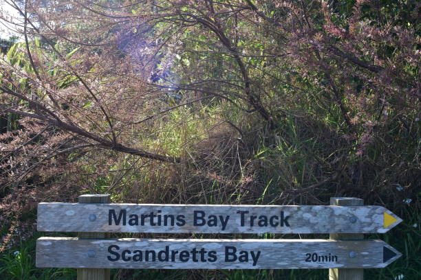 istock Tourist Track Signs Under Tree 1177337077