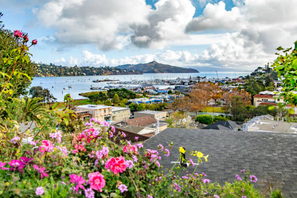 Sausalito, California View of Sausalito, California in the Springtime sausalito stock pictures, royalty-free photos & images