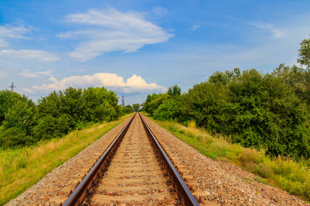 Railroad track through a green pine forest