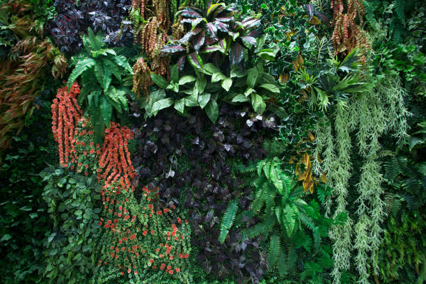 istock Beautiful natural background of vertical gardens with leaves. 1177348421
