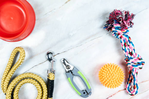 Pet leashes, nail scissors with toys. stock photo
