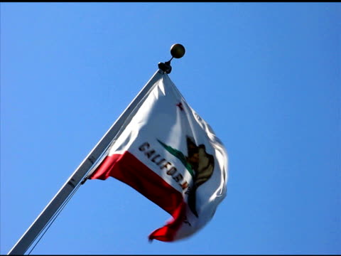 Waving California Flag (NTSC)