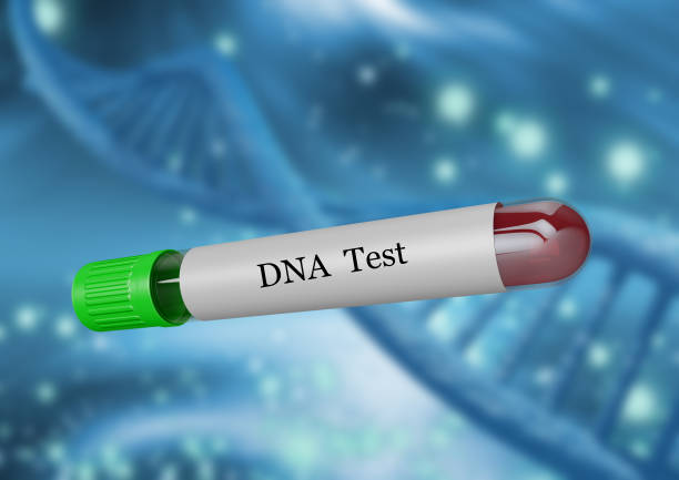 istock Blood sample in test tube for laboratory DNA examination. 1177350984