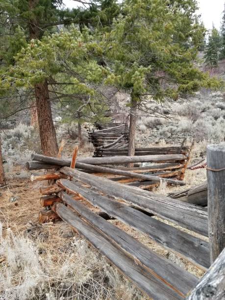 istock Old log fence in forest. 1177351170
