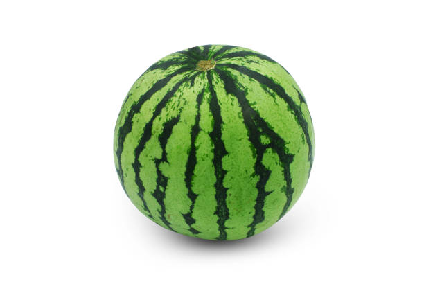 istock Ripe full watermelon on white background 1177356298