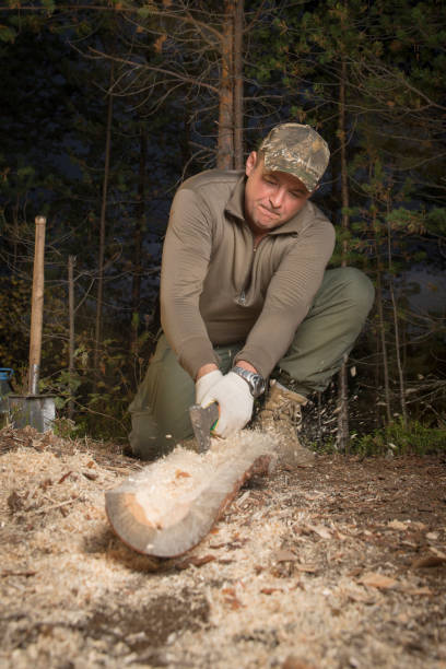 istock Man chopping wood in the woods. 1177362560