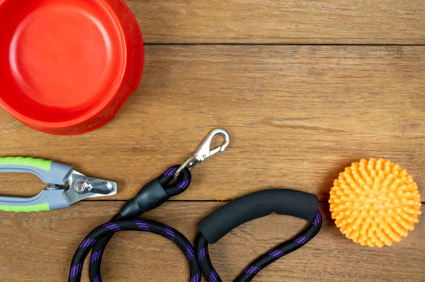 istock Pet leashes and rubber toy on wooden background. 1177362816