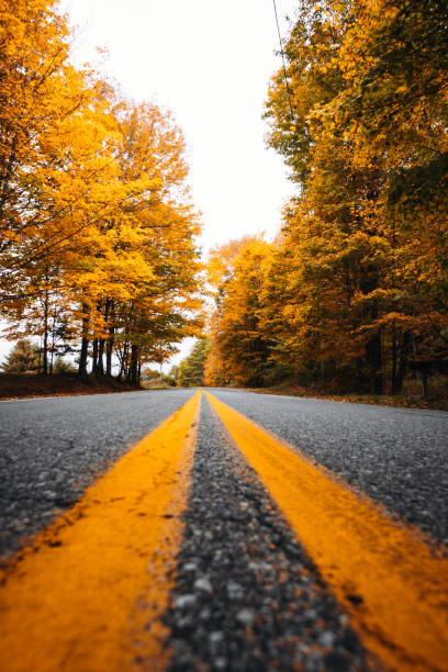 istock autumnal road in new england 1177362834