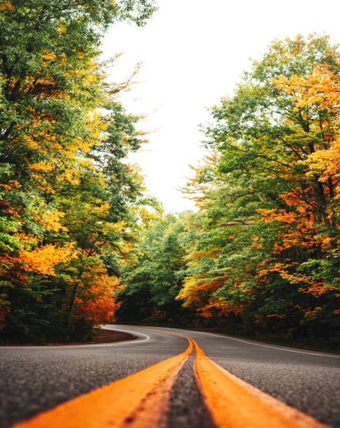 istock autumnal road in new england 1177362865