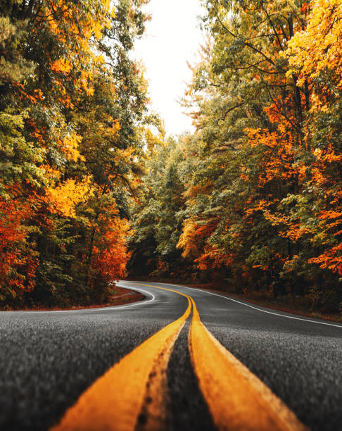 estrada outonal em nova inglaterra - autumn falling leaf new england - fotografias e filmes do acervo