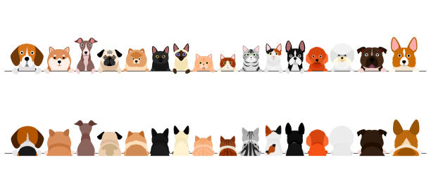 маленькие собаки и кошки границы набор, верхняя часть тела, спереди и сзади - dog group of animals variation in a row stock illustrations