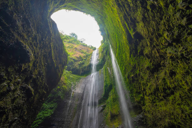 istock Madakaripura Waterfall in national park. The tallest waterfall in Java Island. Nature landscape background of travel trip and holidays vacation in Indonesia. Tourist attraction. 1177363981