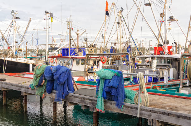 Commercial fishing boats moored in the harbour - Lakes Entrance, Victoria, Australia
