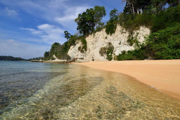 istock Andaman island in India 1177366519